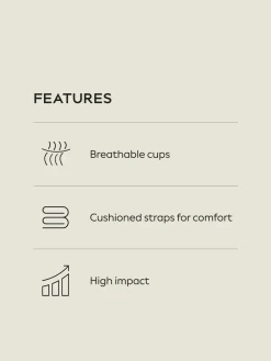 Next DD+ Ultimate Dry Tech Breathable Lightweight Pad High Impact Sports Bra Black