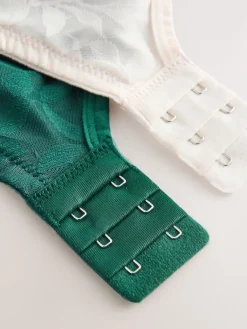 Next DD-G Lace Non Pad Full Cup Bras 2 Pack Green/Ecru