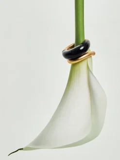 Reiss Gold Samira Tone Scoop Enamel Hoop Earrings New